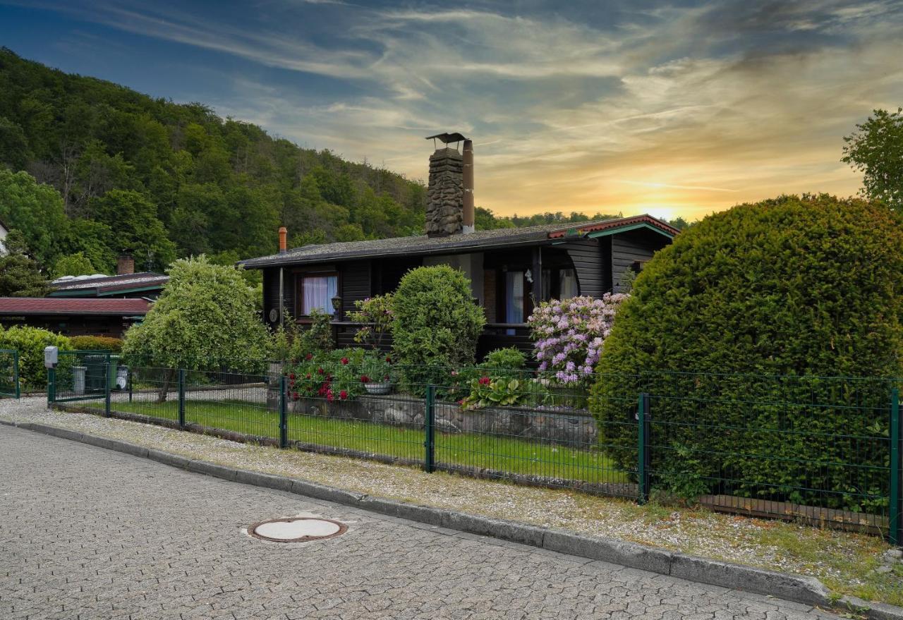 Ferienwohnung Ferienblockhaus Harzidyll Wieda Exterior foto