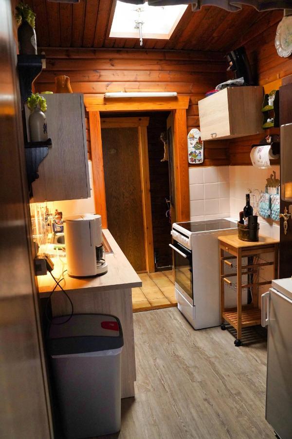 Ferienwohnung Ferienblockhaus Harzidyll Wieda Exterior foto