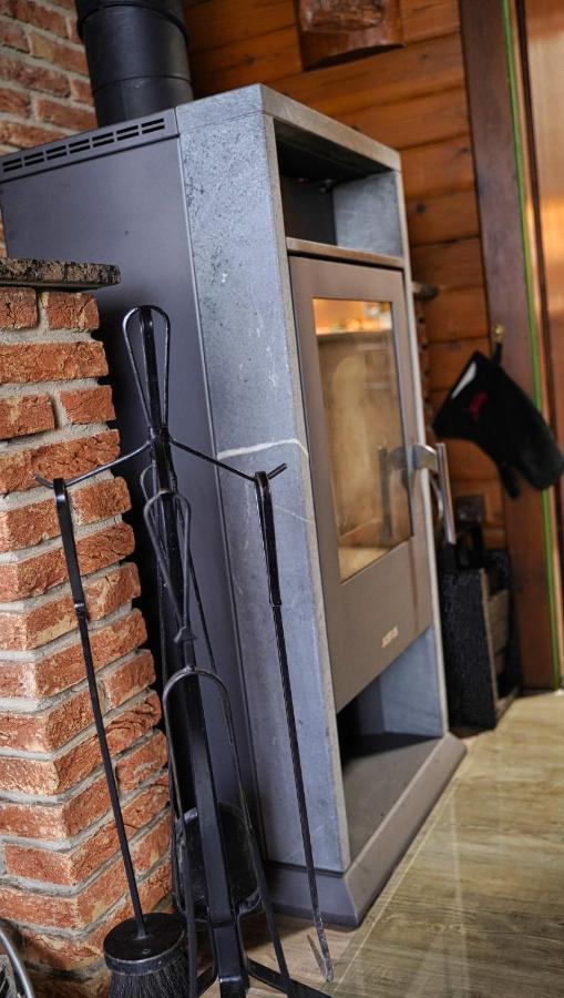 Ferienwohnung Ferienblockhaus Harzidyll Wieda Exterior foto